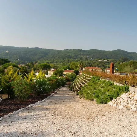 Casa vacanze Amazing Retreat W/ Pool By Lovelystay *